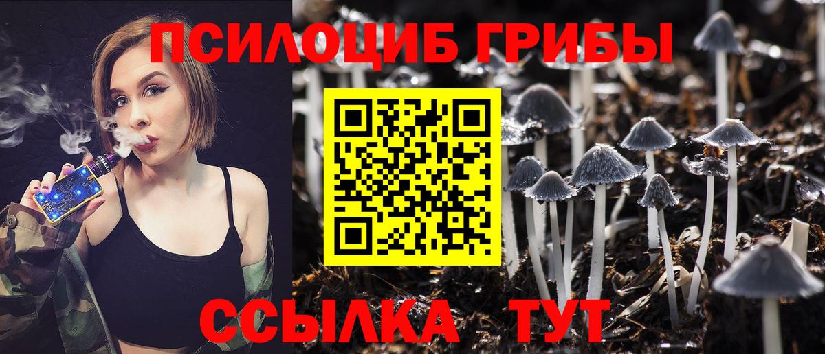Галлюциногенные грибы Psilocybine cubensis  Вход с VPN  Галлюциногенные грибы Cubensis  Карпинск 
